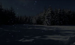 飘雪视频,一段难忘的视频回忆